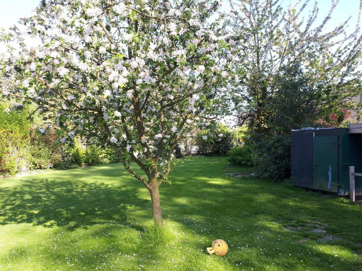 Ferienwohnung In Ruhiger Dorflage Naehe Bad Bevensen Natendorf Exterior foto